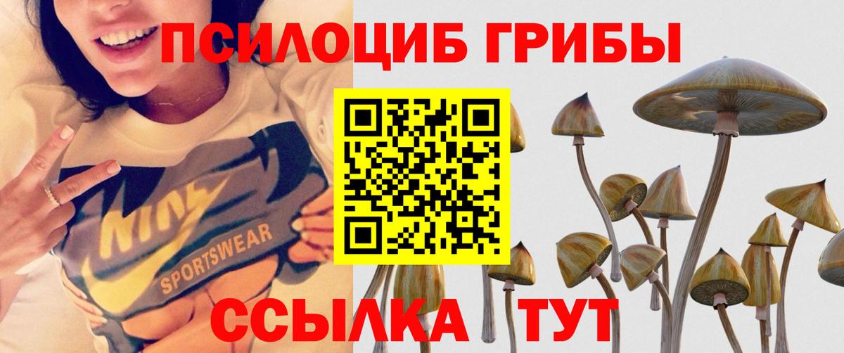 Галлюциногенные грибы прущие грибы  Галлюциногенные грибы мухоморы  Вход с VPN  Малоярославец 